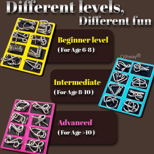 Cithway® 3D Metal Challenge Puzzle Toy