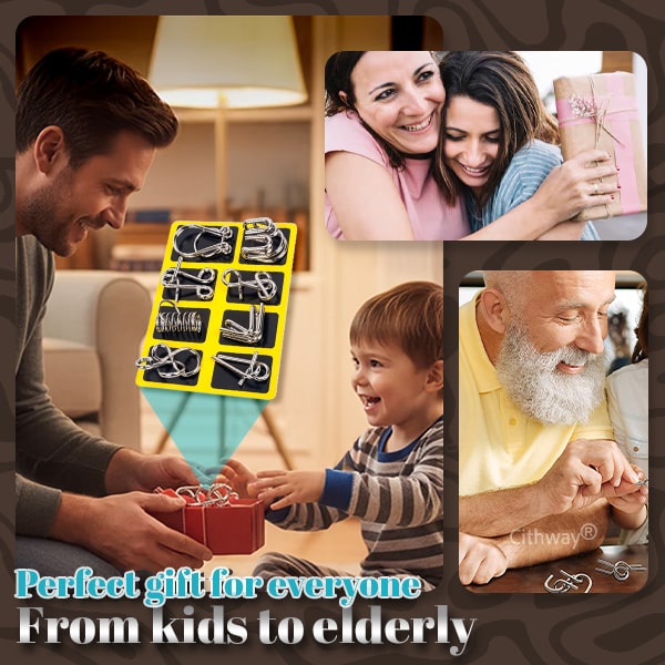 Cithway® 3D Metal Challenge Puzzle Toy