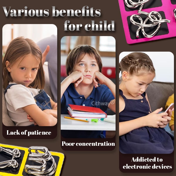 Cithway® 3D Metal Challenge Puzzle Toy